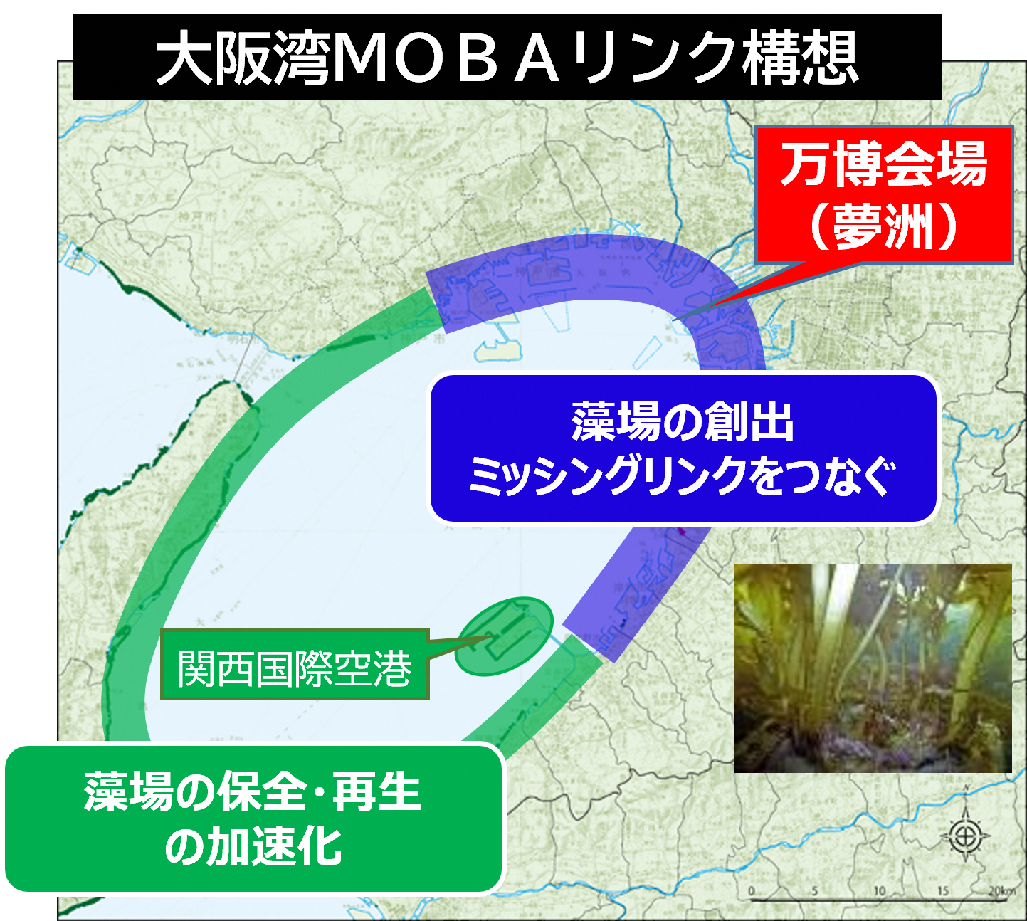 Osaka Bay MOBA Link Concept