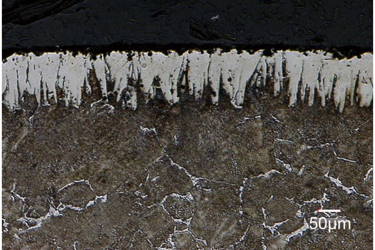 TBS-1500皮膜の断面組織